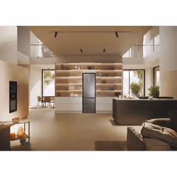 Haier 3D 60 Serie 5 HTW5620DNMG réfrigérateur-congélateur Pose libre 414 L D Argent - Vue supplémentaire 14
