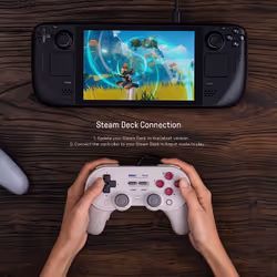 8Bitdo Pro 2 Gris USB Manette de jeu Analogique/Numérique Android, Nintendo Switch, Nintendo Switch Lite, PC, Tablette PC - Vue supplémentaire 9