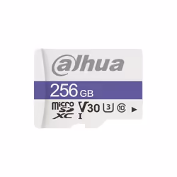 Dahua Technology C100, 256 Go, MicroSDXC, Classe 10, UHS, 95 Mo/s, 45 Mo/s