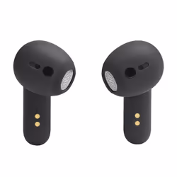 JBL LIVE FLEX Noir