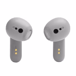 JBL LIVE FLEX Argent
