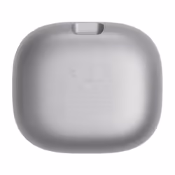 JBL LIVE FLEX Argent - Vue supplémentaire 5
