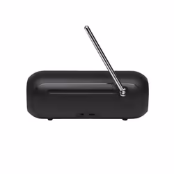 JBL Tuner 2 Portable Analogique et numérique Noir