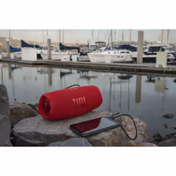 JBL CHARGE 5 Enceinte portable stéréo Gris 30 W - Vue supplémentaire 10