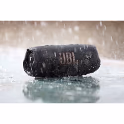 JBL CHARGE 5 Enceinte portable stéréo Gris 30 W - Vue supplémentaire 12