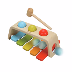 Classic World 3515, Jouet musical, Xylophone, 1 an(s), Multicolore