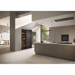 Haier Wine Bank 60 Serie 7 HWS247FDU1 Refroidisseur de vin compresseur Pose libre Noir 247 bouteille(s) - Vue supplémentaire 8
