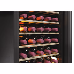 Haier Wine Bank 50 Serie 3 HWS58GGH1 Pose libre Noir 58 bouteille(s) - Vue supplémentaire 15