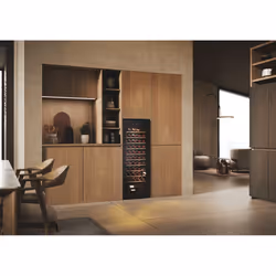 Haier Wine Bank 50 Serie 3 HWS58GGH1 Pose libre Noir 58 bouteille(s) - Vue supplémentaire 20