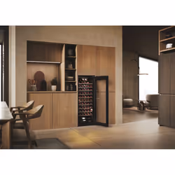 Haier Wine Bank 50 Serie 3 HWS58GGH1 Pose libre Noir 58 bouteille(s) - Vue supplémentaire 21