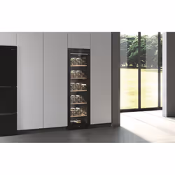 Haier Wine Bank 60 Serie 5 HWS247GEH1 Refroidisseur de vin compresseur Pose libre Noir 247 bouteille(s) - Vue supplémentaire 14