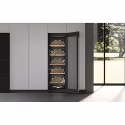Haier Wine Bank 60 Serie 5 HWS247GEH1 Refroidisseur de vin compresseur Pose libre Noir 247 bouteille(s) - Vue supplémentaire 15