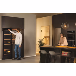 Haier Wine Bank 60 Serie 5 HWS247GEH1 Refroidisseur de vin compresseur Pose libre Noir 247 bouteille(s) - Vue supplémentaire 20