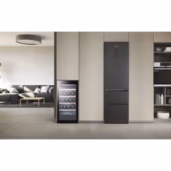 Haier Wine Bank 60 Serie 3 WS105GA Refroidisseur de vin compresseur Pose libre Noir 105 bouteille(s) - Vue supplémentaire 5