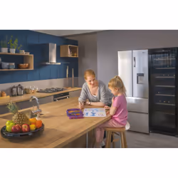 Haier Wine Bank 60 Serie 3 WS171GA Refroidisseur de vin compresseur Pose libre Noir 166 bouteille(s) - Vue supplémentaire 11