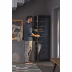 Haier Wine Bank 60 Serie 3 WS171GA Refroidisseur de vin compresseur Pose libre Noir 166 bouteille(s)