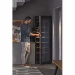 Haier Wine Bank 60 Serie 3 WS171GA Refroidisseur de vin compresseur Pose libre Noir 166 bouteille(s)