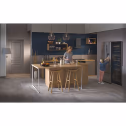 Haier Wine Bank 60 Serie 3 WS171GA Refroidisseur de vin compresseur Pose libre Noir 166 bouteille(s) - Vue supplémentaire 9