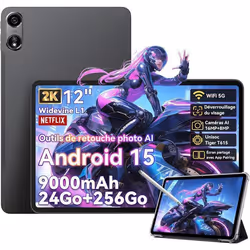 Oscal Pad 100 Tablette Tactile 12 Android 15 2.4G+5G Wifi RAM 24Go ROM 256Go/SD 2To 9000mAh 16MP+8MP Dual SIMMode PC WPS - Gris