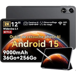 Oscal Pad 100 Tablette Tactile 12 Android 15 2.4G+5G Wifi RAM 36Go ROM 256Go/SD 2To 9000mAh 16MP+8MP Dual SIMMode PC WPS - Gris