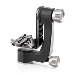 Benro GH2N tête de trépieds Gris, Argent 3/8" Cardan