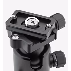 Benro B2 tête de trépieds Noir 1/4" Balle