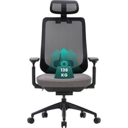 COLAMY Chaise de Bureau Ergonomique en Maille avec Dossier HautAppui-tête réglable et accoudoirs 4Dsiège CoulissantVerrouillag