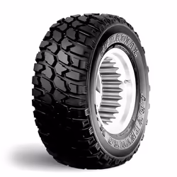 GT RADIAL 6932877196088, Toutes les saisons, 109 (1030kg), Q (160 km/h), F, F, 73 dB