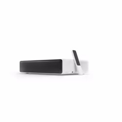 Xiaomi SJL4005GL