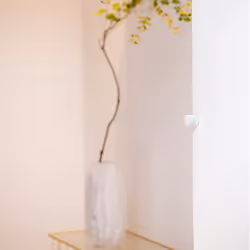 Xiaomi Mi Motion Sensor Sans fil Plafond/mur Gris, Blanc - Vue supplémentaire 6