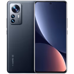 Xiaomi 12 Pro, 17,1 cm (6.73"), 8 Go, 256 Go, 50 MP, Android 11, Gris