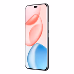 Honor 400 Pro 17 cm (6.7") MagicOS 9.0 5G 12 Go 512 Go 5300 mAh Noir