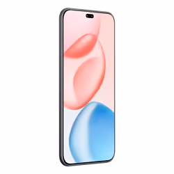 Honor 400 Pro 17 cm (6.7") MagicOS 9.0 5G 12 Go 512 Go 5300 mAh Noir