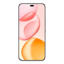 Honor 400 Pro 17 cm (6.7") MagicOS 9.0 5G 12 Go 512 Go 5300 mAh Gris