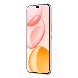 Honor 400 Pro 17 cm (6.7") MagicOS 9.0 5G 12 Go 512 Go 5300 mAh Gris
