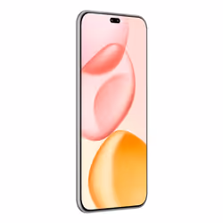 Honor 400 Pro 17 cm (6.7") MagicOS 9.0 5G 12 Go 512 Go 5300 mAh Gris