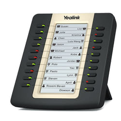 Yealink EXP20 téléphone fixe Noir LCD