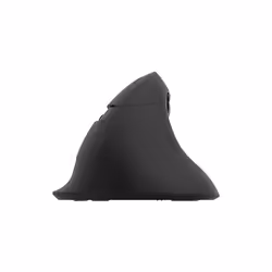 Delux M618Mini souris Droitier RF sans fil + Bluetooth Optique 4000 DPI