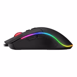 Havit MS1001S Gaming Mouse Siyah souris Droitier Bluetooth + USB Type-A Optique