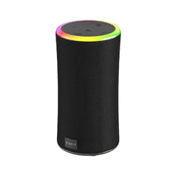 Havit 6939119066406 haut-parleur portable et de fête Enceinte portable mono Noir