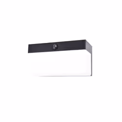 LUTEC FRAN, Surface, Rectangle, 1 ampoule(s), 6500 K, IP44, Noir