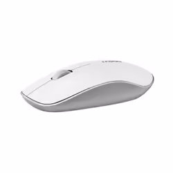 Rapoo 3510, Ambidextre, Optique, RF sans fil, 1000 DPI, Blanc