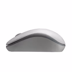 Rapoo M10 Plus souris Ambidextre RF sans fil Optique 1000 DPI
