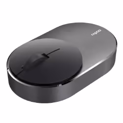 Rapoo M600 Mini