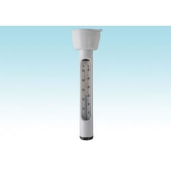 Intex 29039 accessoire pour piscine thermomètre
