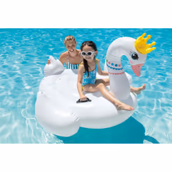 Intex 57562NP flotteur de plage et de piscine Multicolore, Blanc Image Bouée à chevaucher