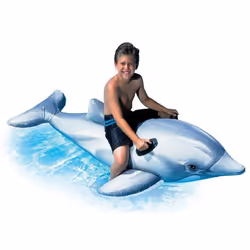 Intex 58539
