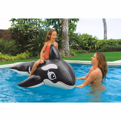 Intex 58561 flotteur de plage et de piscine Noir, Blanc Bouée à chevaucher