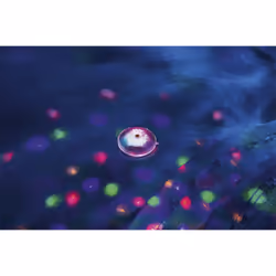 Bestway FloatBright™ Lumière LED étanche pour piscine - Vue supplémentaire 26