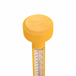 Bestway Thermomètre flottant pour piscine